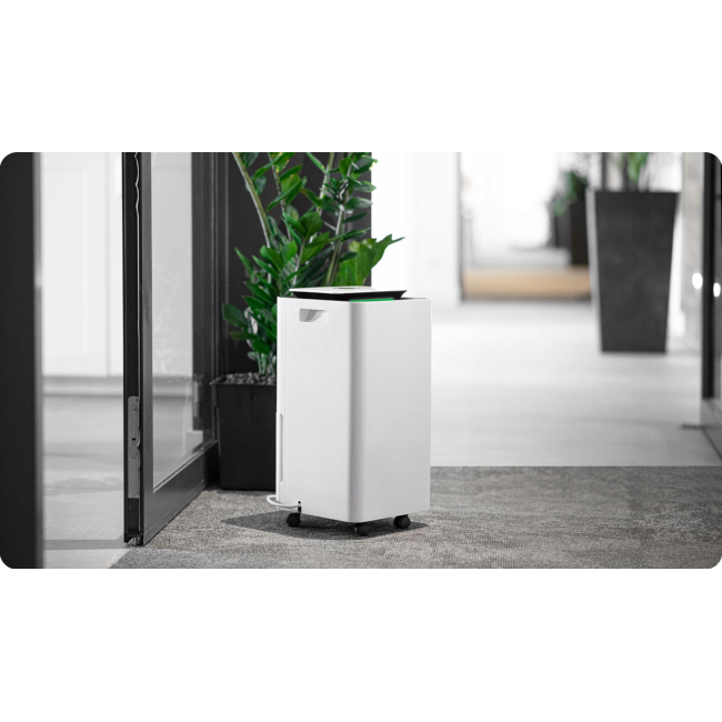 Осушувач повітря компресорний Berdsen 210Вт 12л/24ч (Польща)