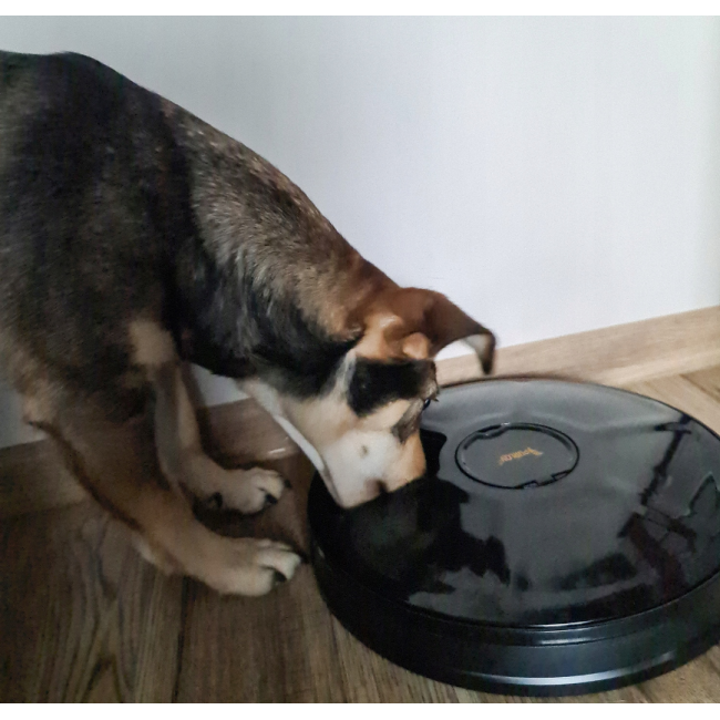 Автоматична годівниця для котів та собак 0,9 л Purlov 20759 (Польща)