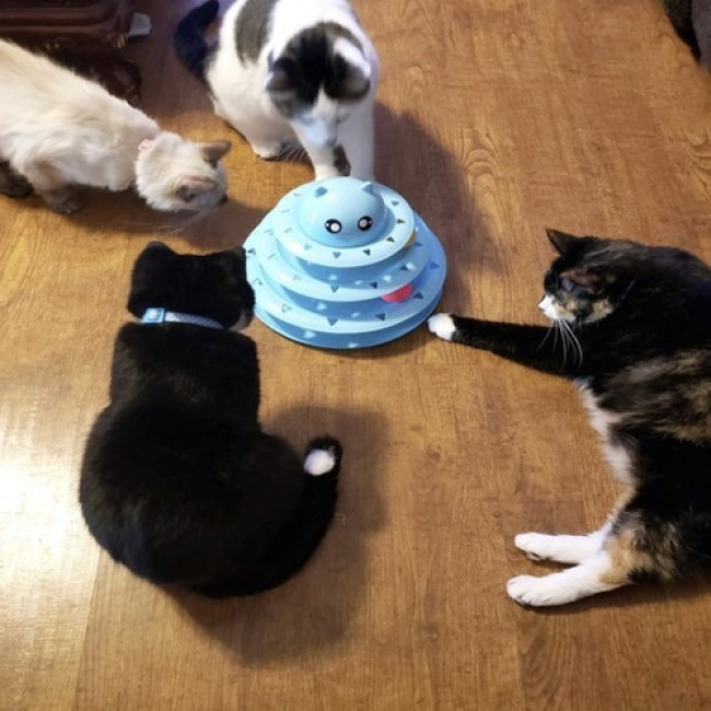 Игрушка для кошек интерактивная башня с шариками Purlov 21837 Польша