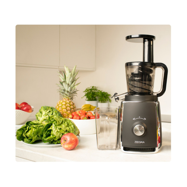 Соковыжималка Zeegma SAP