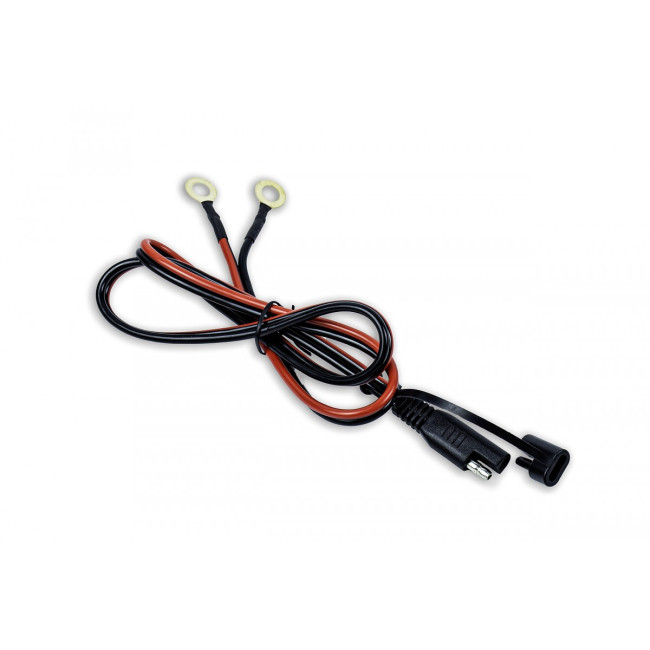 Зарядний пристрій LiFePO4 Voltpolska 12V 20A