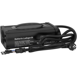 Зарядний пристрій для LiFePo4 акумуляторів 40A 14,6V з екраном Power Queen (Німеччина)