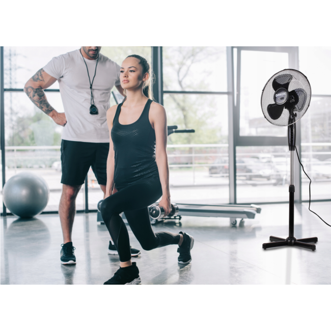 Вентилятор для підлоги MalTec чорний (Польща)