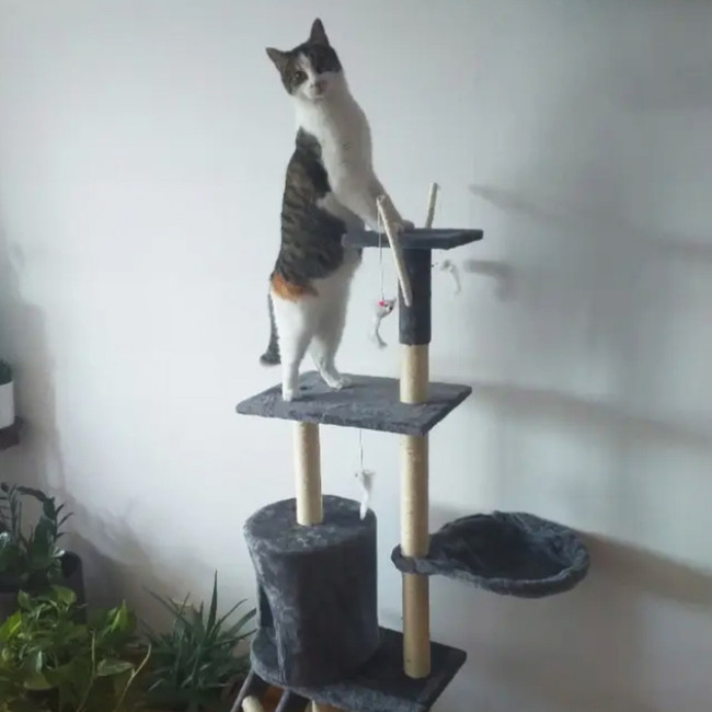 Когтєточка лежанка для кошек Purlov 7927 домік і игровой комплекс на 5 рівнів для декількох домашніх