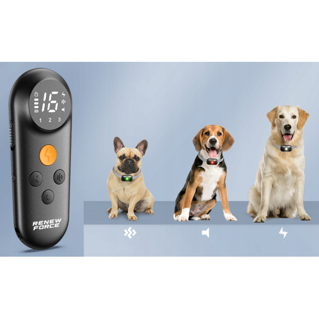 Электроошейник для тренировки собак RENEW FORCE 1000м + пульт дистанционного управления (Польша)