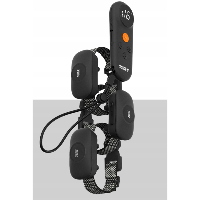 Электроошейник для тренировки собак RENEW FORCE 1000м + пульт дистанционного управления (Польша)