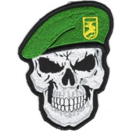 Шеврон PATCH ПАТРІОТ Череп - Punisher у Береті Прикордонна Служба