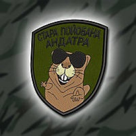 Шеврон SteelCats 