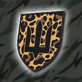 Шеврон SteelCats 