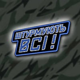 Шеврон SteelCats 