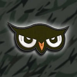 Шеврон SteelCats Очі Сови 10х5см (257)