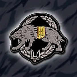 Шеврон SteelCats 