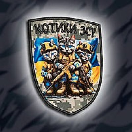 Шеврон SteelCats 