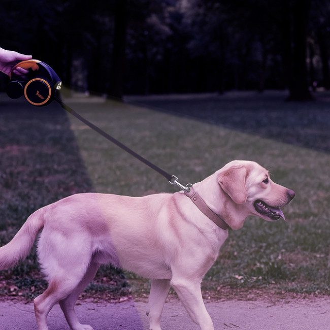 Автоматичний поводок рулетка Purlov для собак 10-25 кг з LED-ліхтариком, блокуванням, стрічкою 5 м (25965)