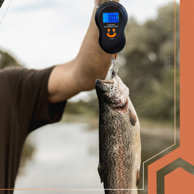 Весы с крючком Ruhhy 26103, до 50 кг