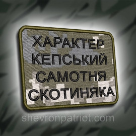 Шеврон SteelCats 