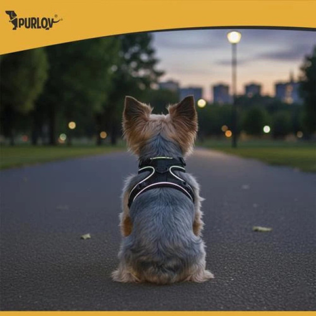 Нашийник для тварин S Purlov 26868