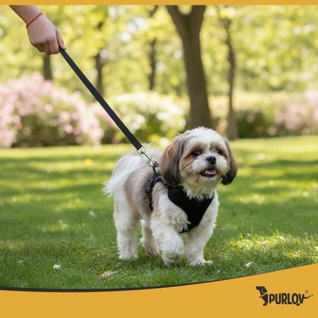 Шлейка для середніх порід собак і котів без тиску з повідцем Purlov розмір M світловідбиваюча, регульована (26870)