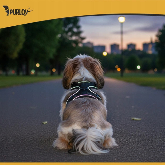 Шлейка для середніх порід собак і котів без тиску з повідцем Purlov розмір M світловідбиваюча, регульована (26870)