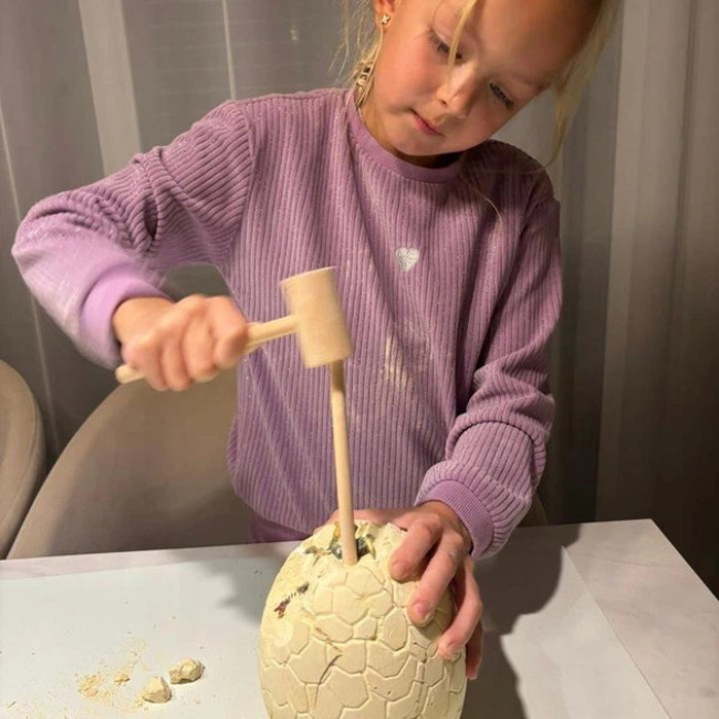 Ігровий набір Археологічні розкопки яйце динозавра Kruzzel 24981/n