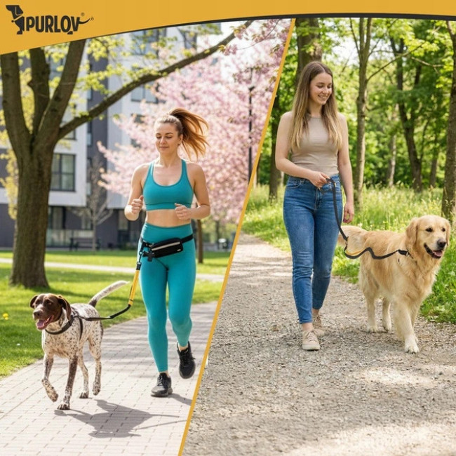 Поясний ремінь з повідцем для бігу з собакою до 50 кг Purlov 2-в-1 амортизований, світловідбиваючий (24689)