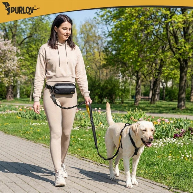 Поясной ремень с поводком для бега с собакой до 50 кг Purlov 2-в-1 амортизированный, светоотражающий (24689)