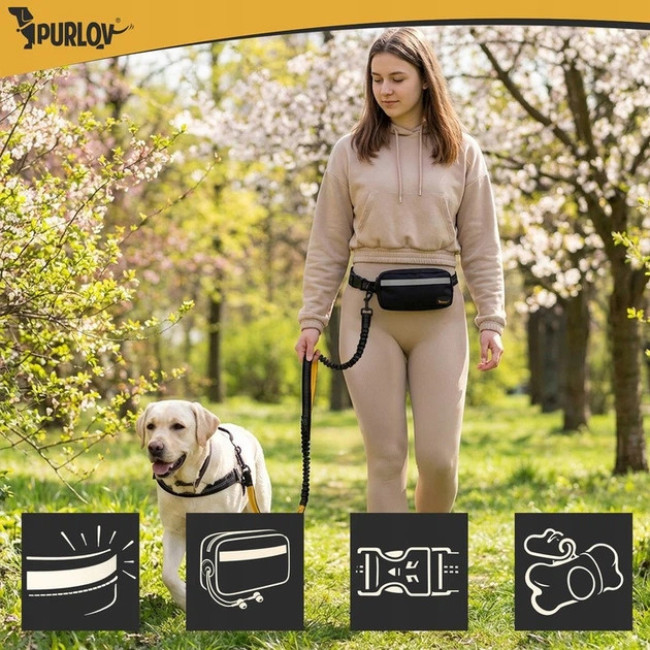 Поясний ремінь з повідцем для бігу з собакою до 50 кг Purlov 2-в-1 амортизований, світловідбиваючий (24689)