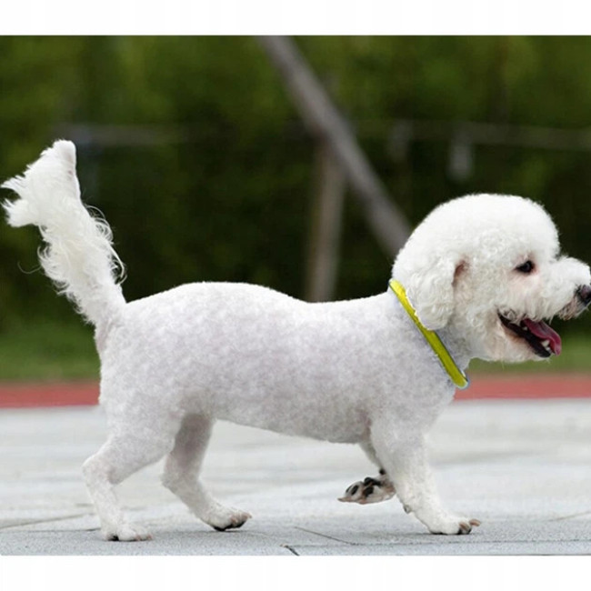 Нашийник для собак світлодіодний Purlov акумуляторний Жовтий (24200)