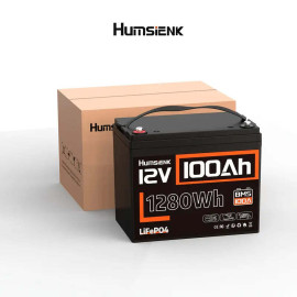 Акумулятор Humsienk 100Ah LiFePO4 12V (HS12V100AH100)