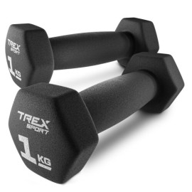 Фітнес-гантелі Trex Sport TX-010VD 2х1 кг, чавунні з вініловим покриттям